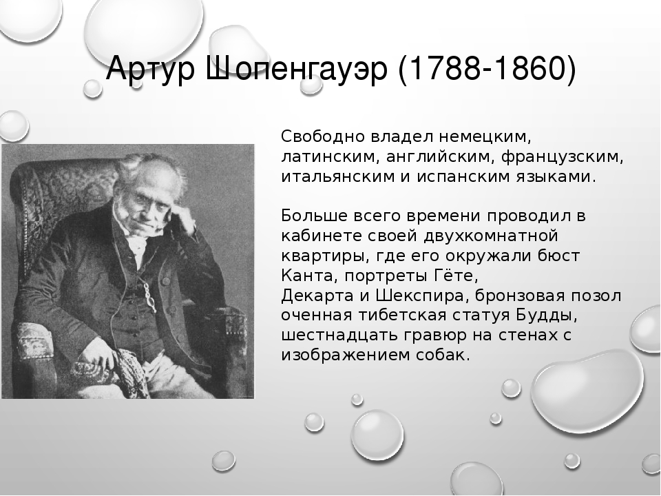 Афоризмы шопенгауэра. Артур Шопенгауэр презентация. Философия Артура Шопенгауэра презентация. Мудрые мысли Шопенгауэра. Высказывания Артура Шопенгауэра.